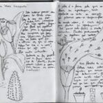 Cidades Caminháveis - 2025